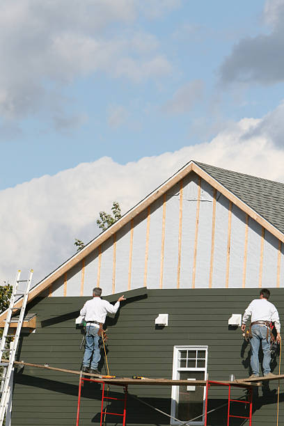 Best Historical Building Siding Restoration  in Louisa, KY