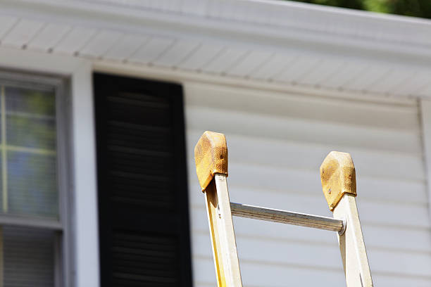 Best Fascia and Soffit Installation  in Louisa, KY